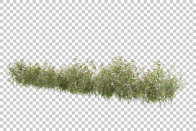 grass field for composition isolated on background with mask 3d rendering illustration