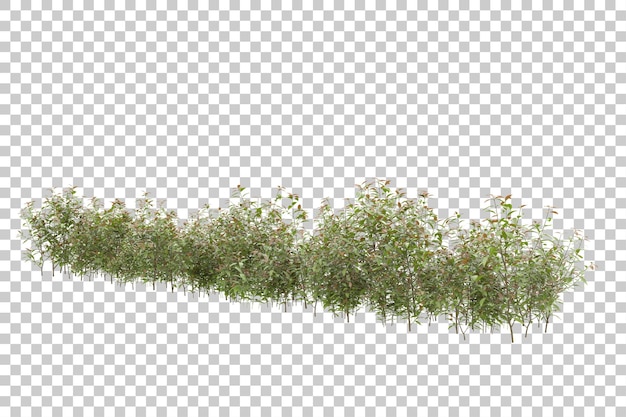 Grass field for composition isolated on background with mask 3d rendering illustration