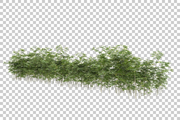 Grass field for composition isolated on background with mask 3d rendering illustration