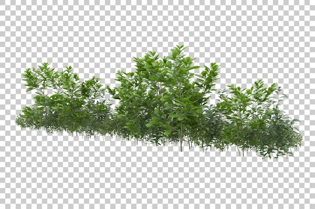 grass field for composition isolated on background with mask 3d rendering illustration