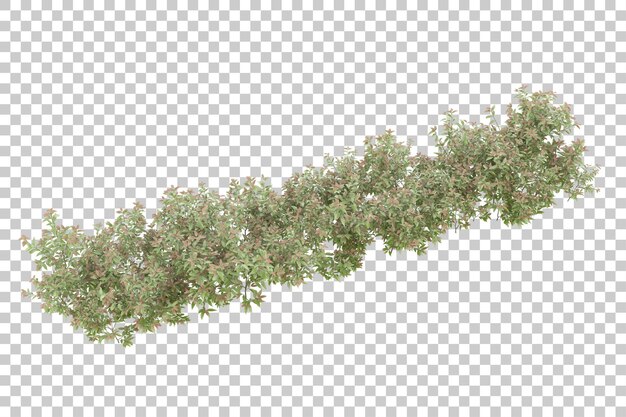 grass field for composition isolated on background with mask 3d rendering illustration