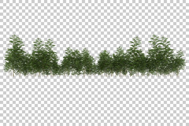 grass field for composition isolated on background with mask 3d rendering illustration