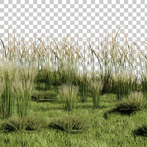 PSD grass field landscape scene cutout