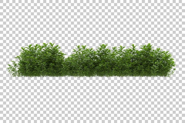 Campo in erba con sfondo trasparente 3d rendering illustrazione