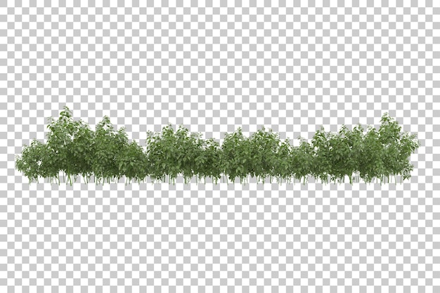 Grass field with transparent background 3d rendering illustration