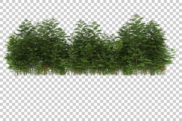 Grass field with transparent background 3d rendering illustration