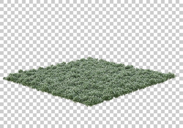 Grass field with transparent background 3d rendering illustration