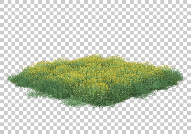 PSD grass field with transparent background 3d rendering illustration