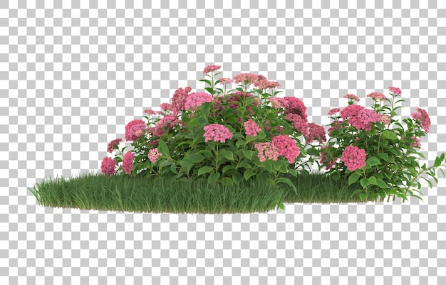 PSD erba e fiori su sfondo trasparente. rendering 3d - illustrazione