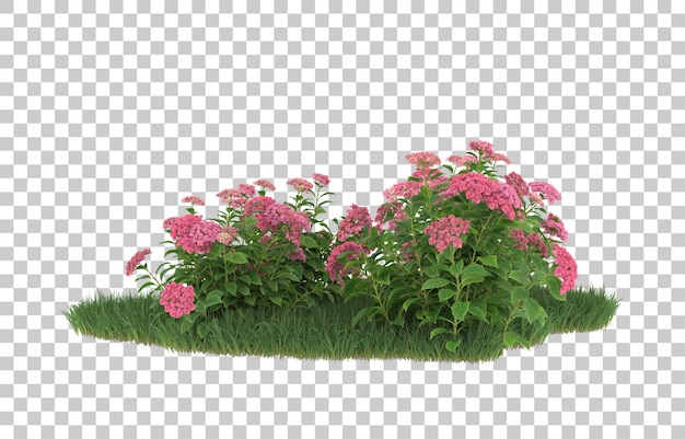 Erba e fiori su sfondo trasparente. rendering 3d - illustrazione