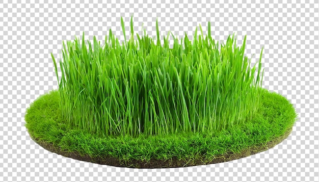 Grass green circle land ground isolated on a transparent background