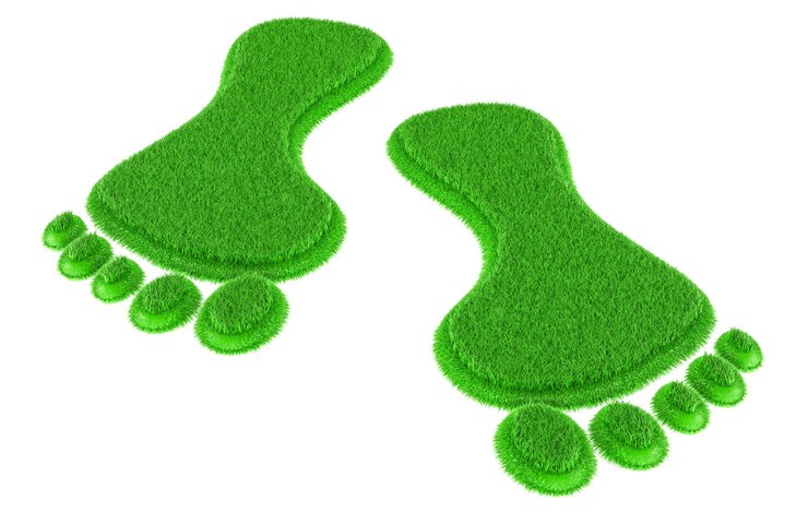 PSD grass human footprints 3d rendering isolated on transparent background