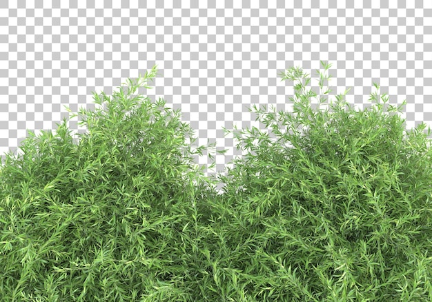 Grass island on transparent background 3d rendering illustration