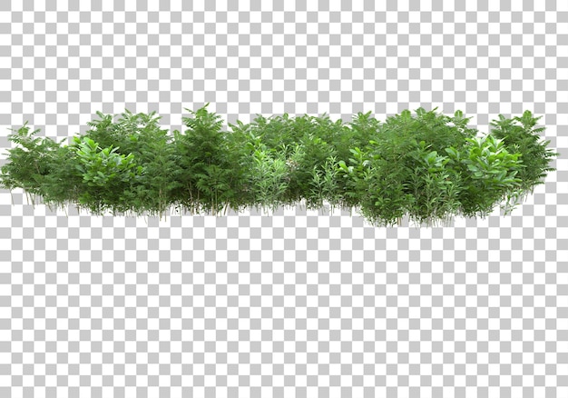 Grass island with flowers on transparent background 3d rendering illustration