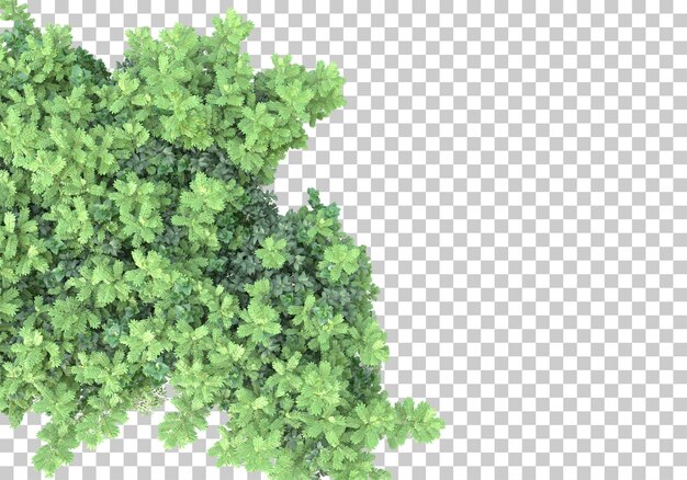 Grass island with flowers on transparent background 3d rendering illustration