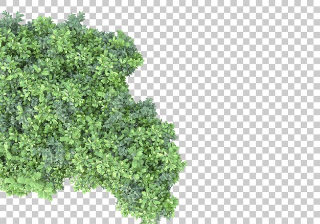 Grass island with flowers on transparent background 3d rendering illustration
