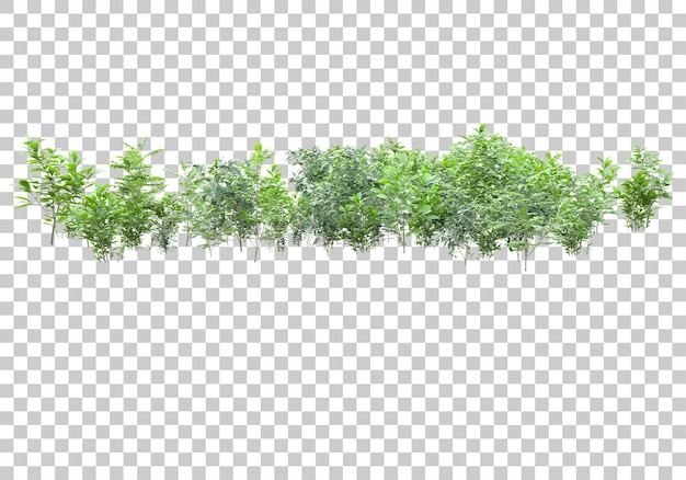 Isola di erba con fiori su sfondo trasparente 3d rendering illustrazione