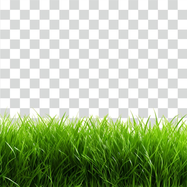 PSD grass isolated on transparent background