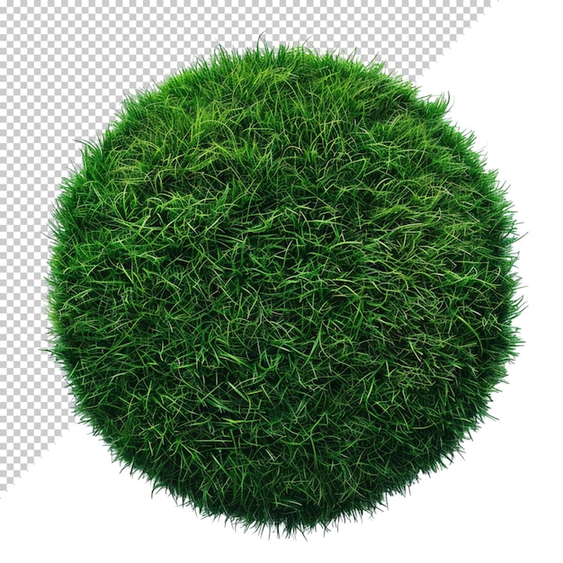 PSD grass isolated on transparent background