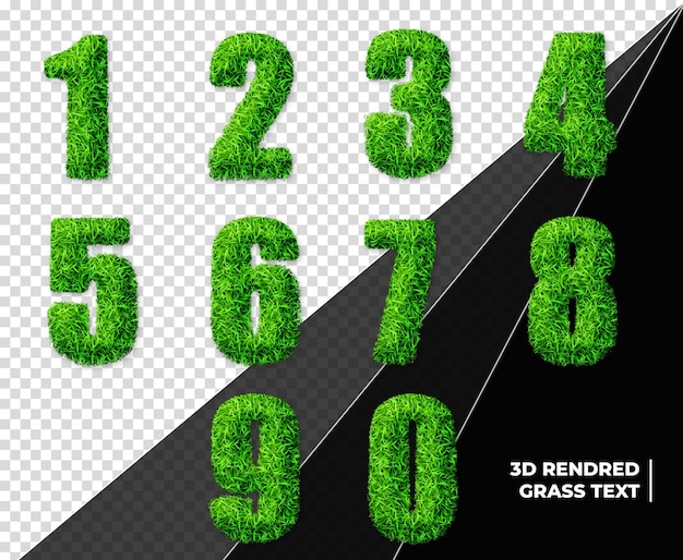 Grass numbers on transparent background