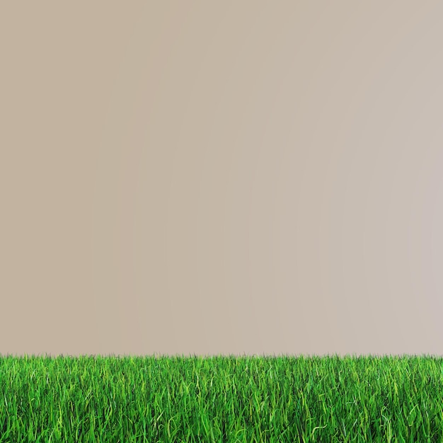 PSD grass png texture