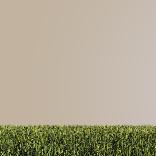 Grass png texture