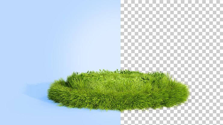 白い背景で隔離の草の表彰台草の円3dレンダリング