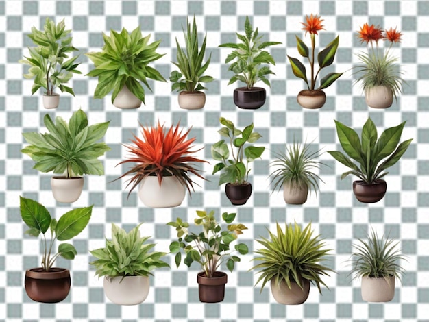 PSD grass in pot png