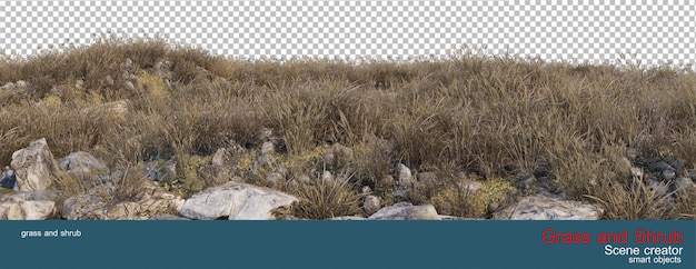 grass and shrubs various species on the rocky slopes