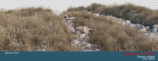 Grass and shrubs various species on the rocky slopes