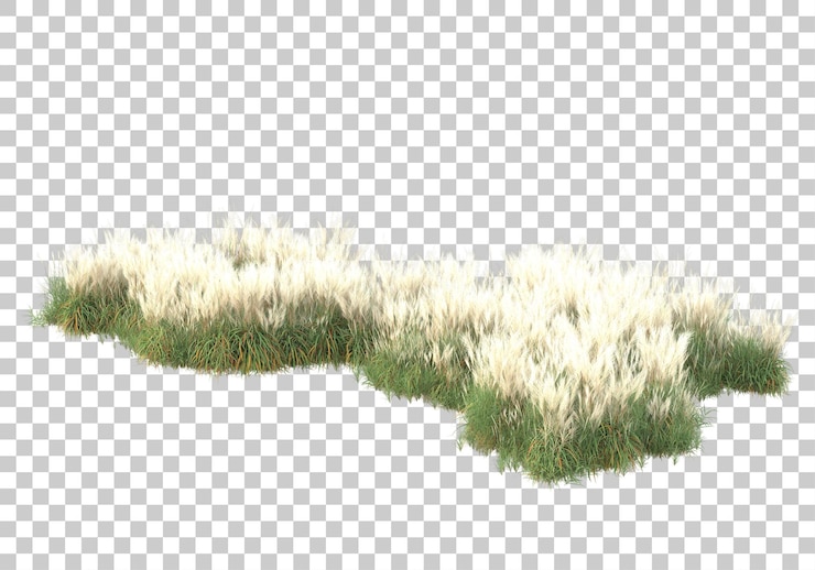 PSD 투명 한 배경 3d 렌더링 그림에 잔디 표면