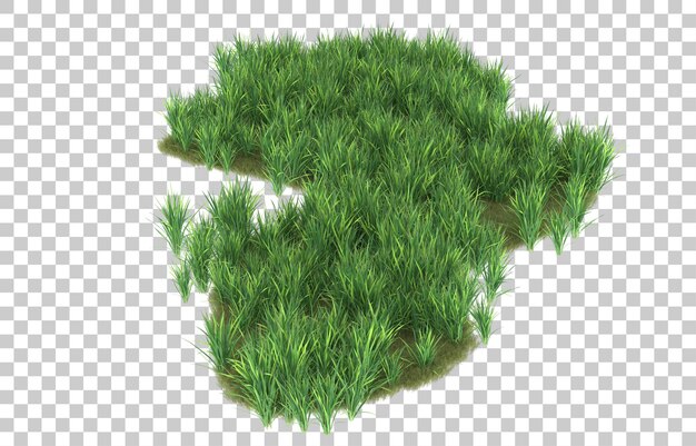 PSD grass on transparent background. 3d rendering - illustration