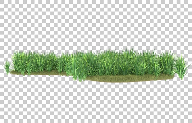 PSD grass on transparent background. 3d rendering - illustration