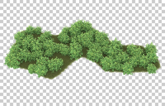 PSD grass on transparent background. 3d rendering - illustration