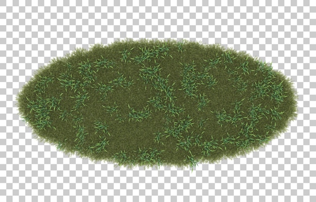 PSD grass on transparent background. 3d rendering - illustration