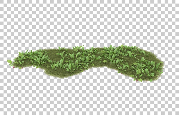 Grass on transparent background. 3d rendering - illustration