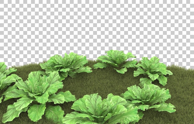 Grass on transparent background. 3d rendering - illustration