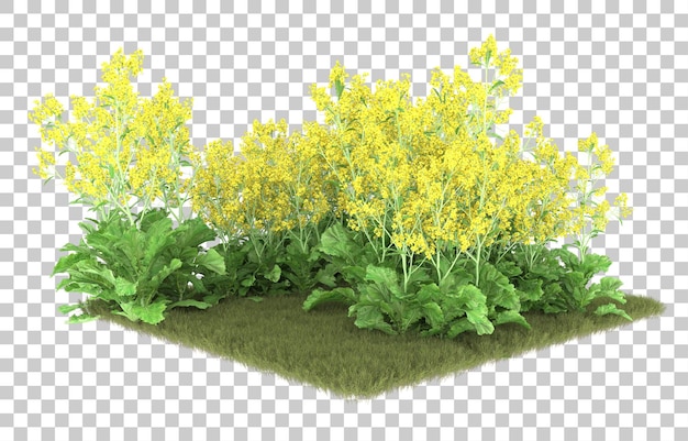 투명 한 배경에 잔디입니다. 3d 렌더링 - 일러스트레이션