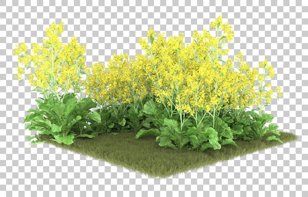 PSD grass on transparent background. 3d rendering - illustration