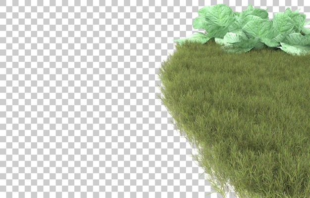 Grass on transparent background. 3d rendering - illustration