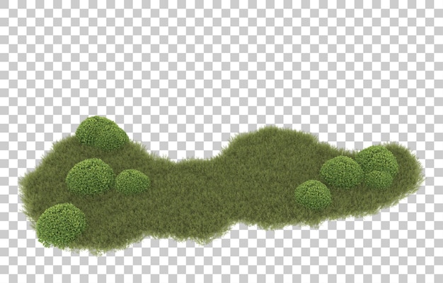 Grass on transparent background. 3d rendering - illustration