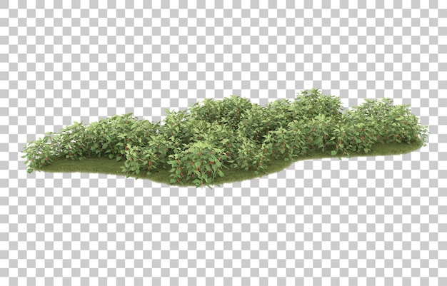 Grass on transparent background. 3d rendering - illustration