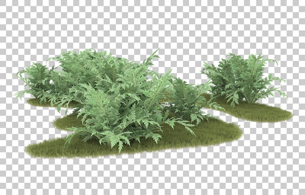 Grass on transparent background. 3d rendering - illustration