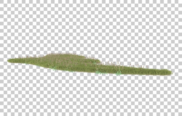 PSD grass on transparent background. 3d rendering - illustration