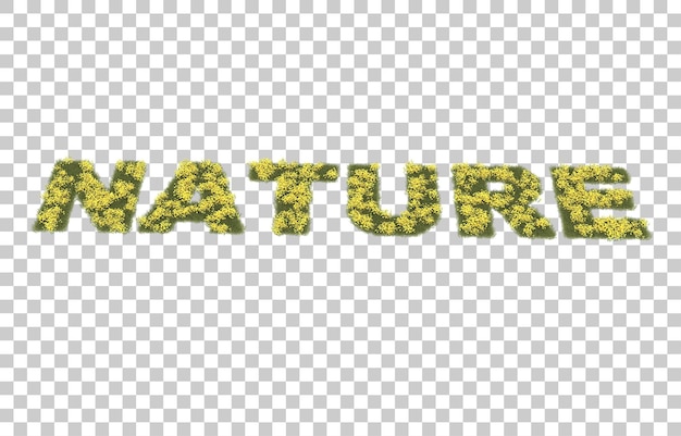 grass on transparent background. 3d rendering - illustration