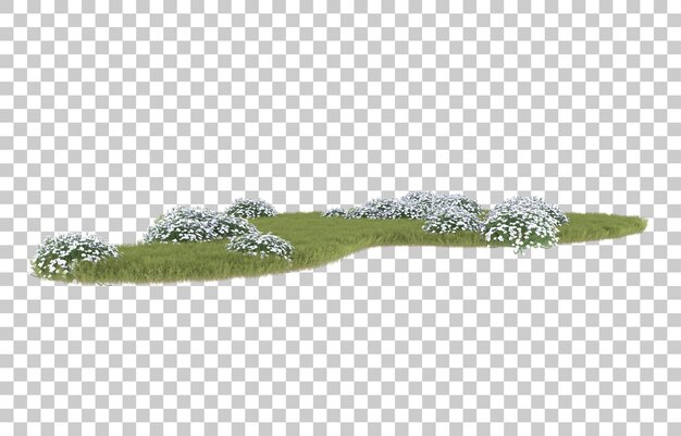 PSD grass on transparent background. 3d rendering - illustration