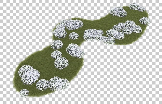 PSD grass on transparent background. 3d rendering - illustration