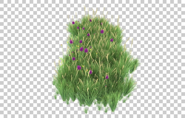 PSD grass on transparent background. 3d rendering - illustration