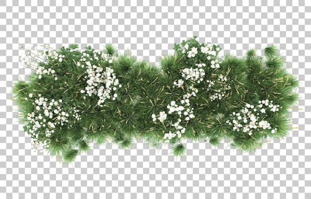 Grass on transparent background. 3d rendering - illustration