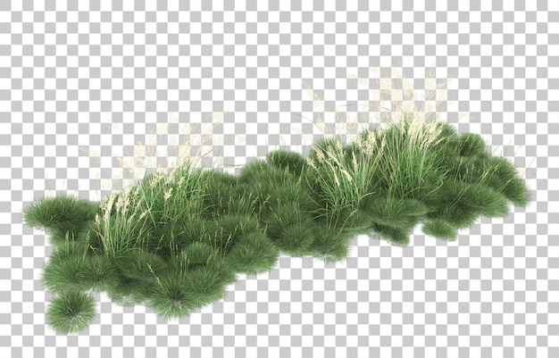 Grass on transparent background. 3d rendering - illustration